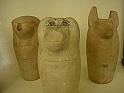 vasi canopi1